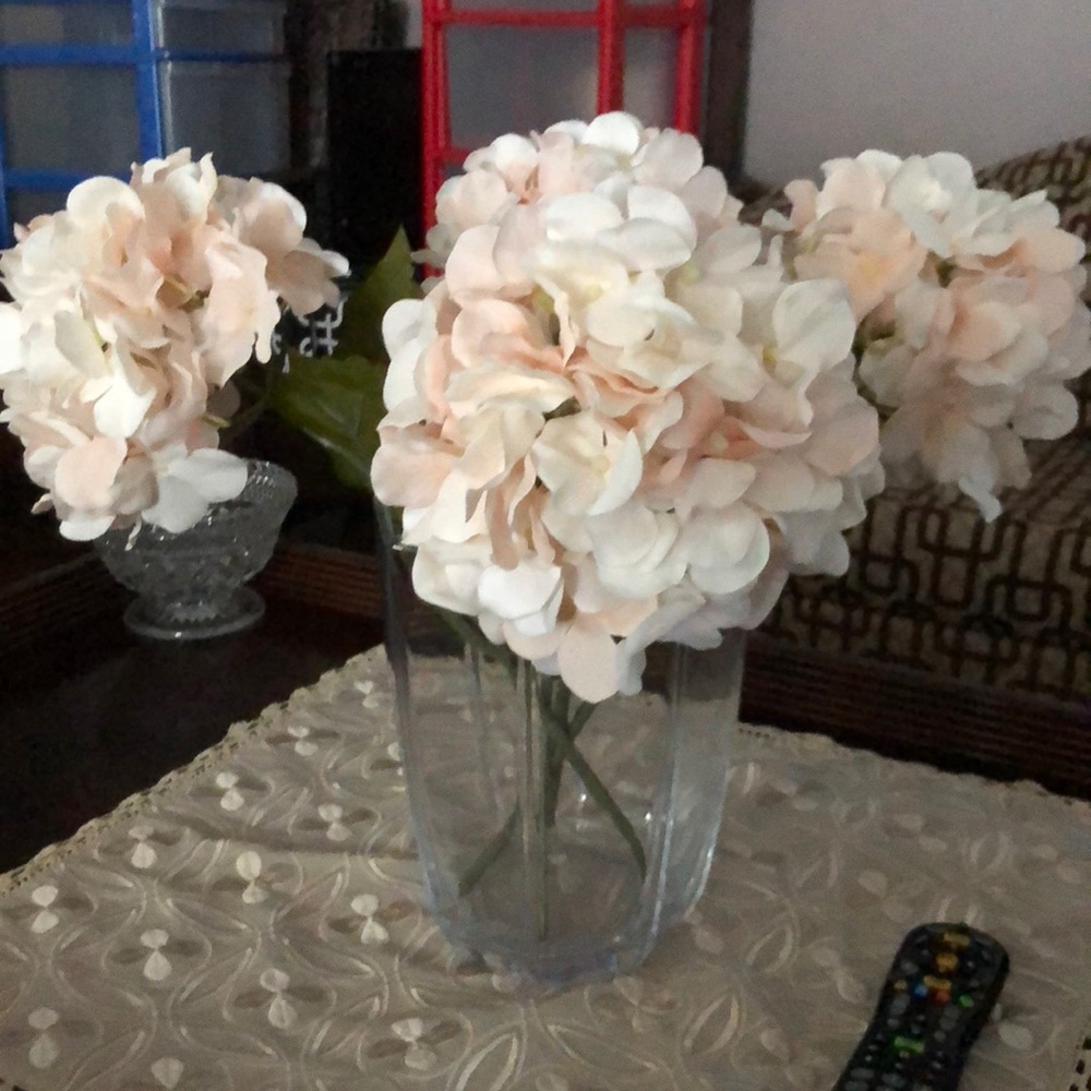 Meet your Posher, Voula